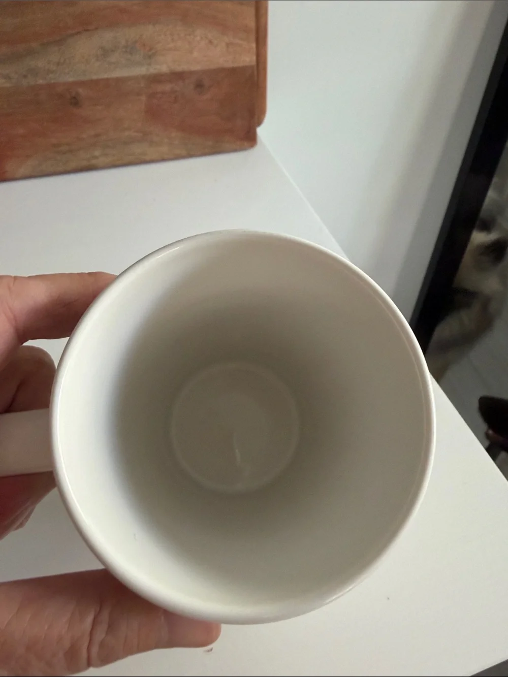 Starbucks White Mug with Bright Green Tennis Ball and Black Dog Sketches 2015